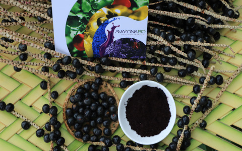 Organic Açaí Freeze-Dried Powder (Euterpe oleracea)