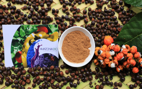 Guaraná Seeds & Powder