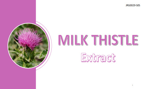 Milk Thistle Extract