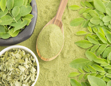 MORINGA EXTRACT