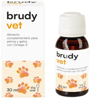 Brudy Vet