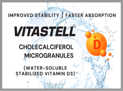 Stabilized Vitamin D3 Aqueous Formulations