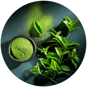 Green tea extract