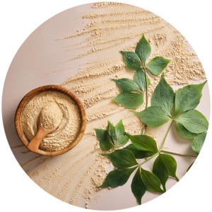 Ginseng leaves extract