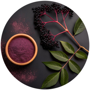 Elderberry extract