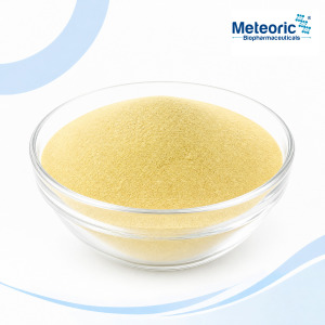 Fungal Alpha Amylase
