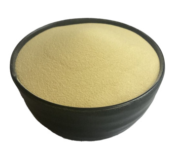 Fungal Alpha Amylase