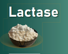 Lactase (Acidic& Neutral)