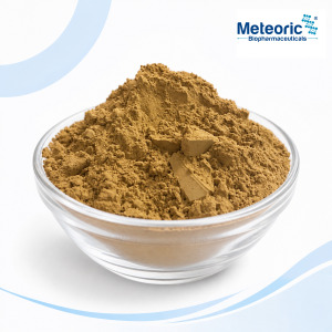 Bacillus coagulans MBBCM9™