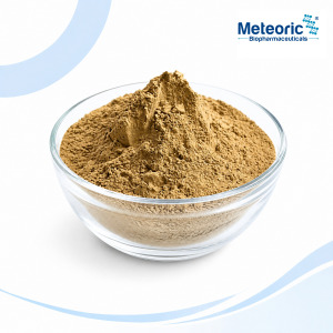 Bacillus subtilis MBBSM12®
