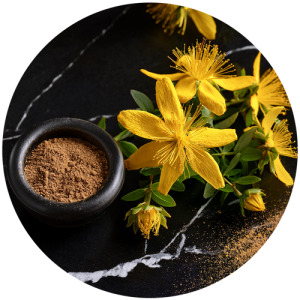 Hypericum extract