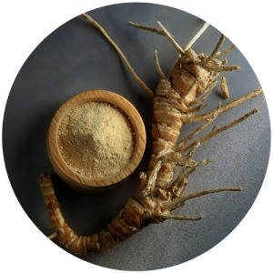 Ruscus extract