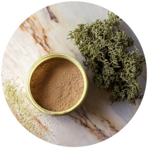 Iceland moss extract