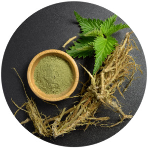 Nettle extract