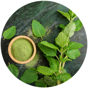 Lemon balm extract