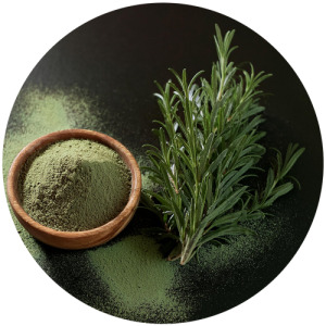 Rosemary extract