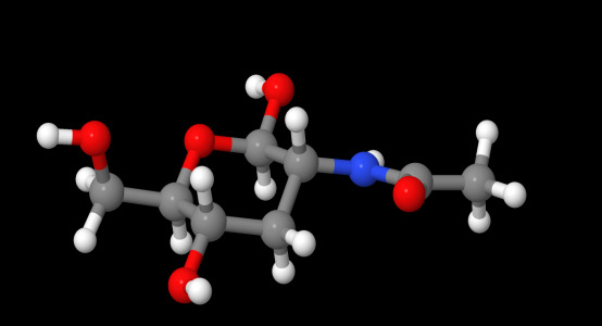 N-Acetyl Glucosamine (NAG)