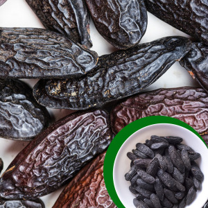 Tonka Beans