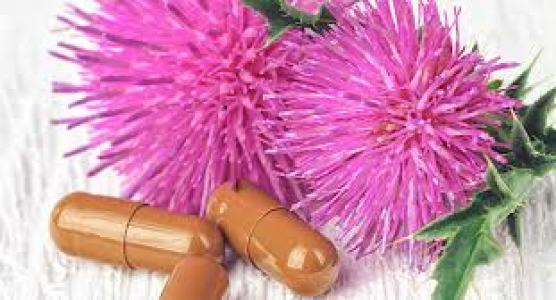 Silymarin (Milk Thistle)