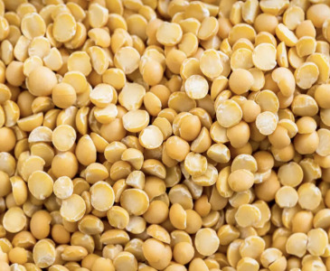 PronNex™ Pea Protein