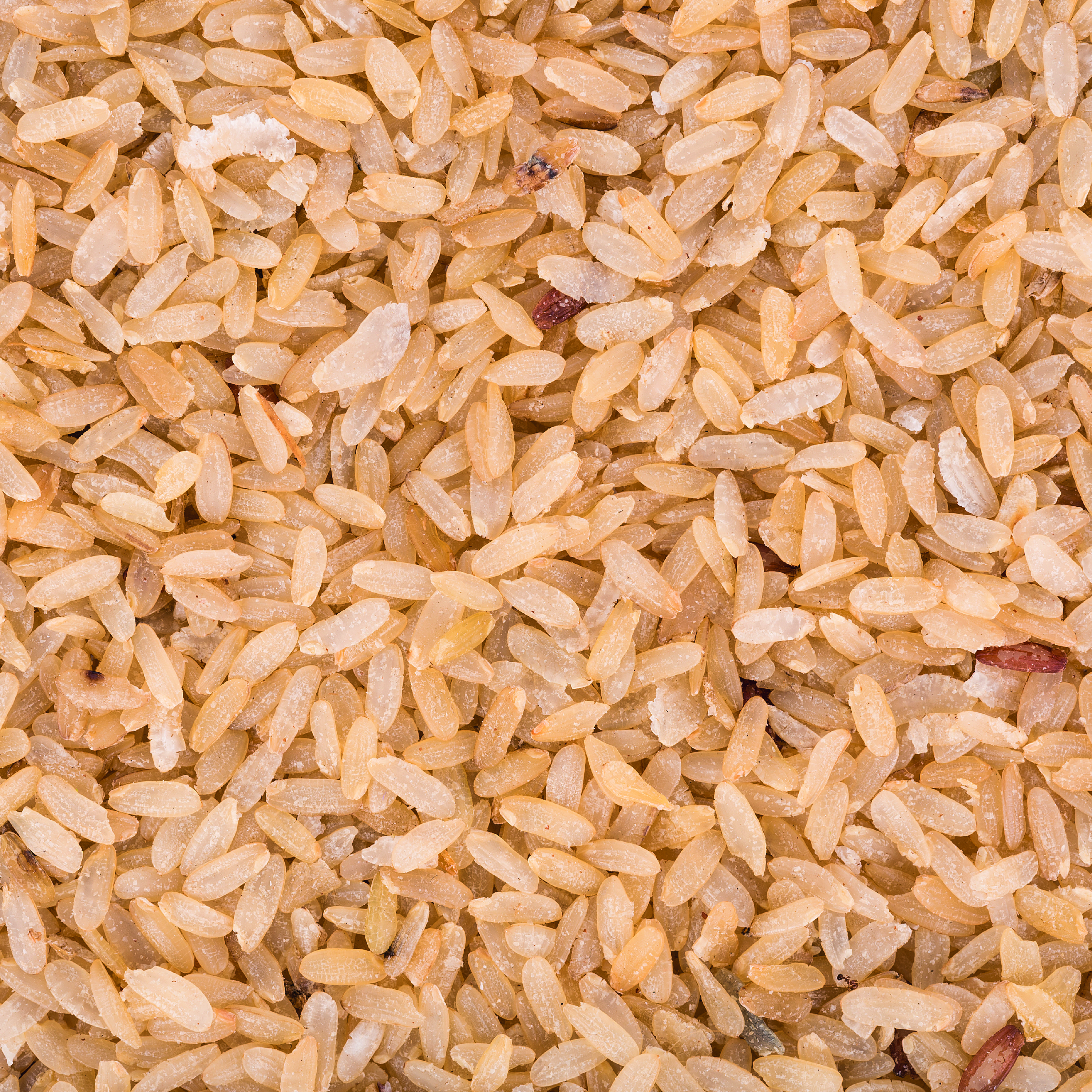 Brown Rice Protein