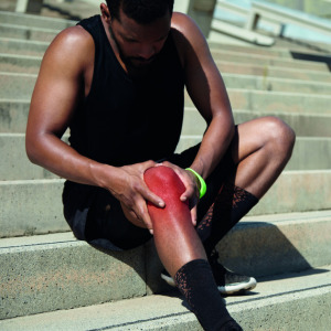 Cartilage Extract (Bovine/Chicken)