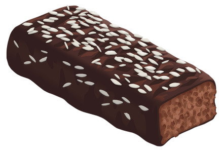 Plant based protein bars