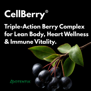 CellBerry®: Patented Aronia Extract for Healthy Body Composition, Cardiovascular & Immune Health*