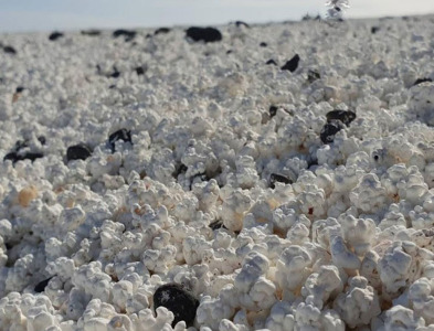 Coral Calcium Powder – AQUACAL