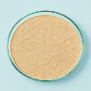 Yeast Extract Ingredients