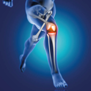 Methylsulfonylmethane