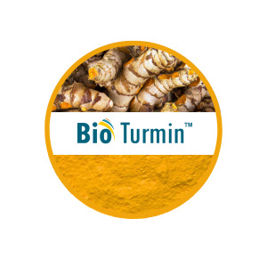Bioturmin- Turmeric Extract