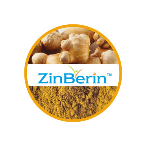 Zinberin - Ginger extract