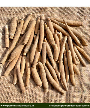 Ashwagandha Extract