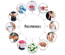 Kariphenol® A NATURAL EXTRACT FOR BODY & MIND