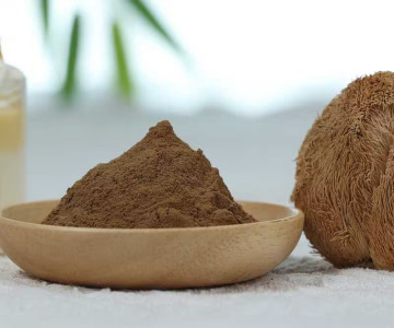 Organic Lion's Mane dual extract 4:1