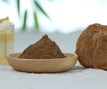 Organic Lion’s mane extract 8:1