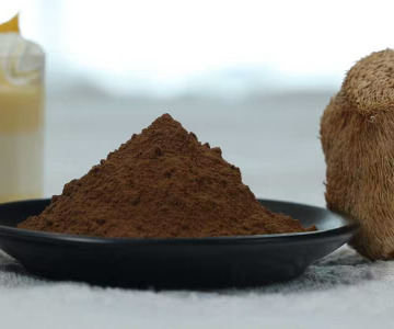 Organic Lion’s mane dual extract 8:1