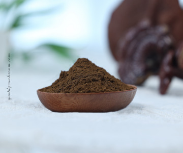 Organic Reishi extract 8:1