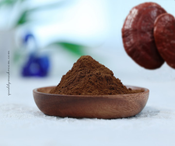 Organic Reishi dual extract 8:1