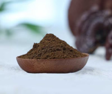 Organic Reishi extract 15:1