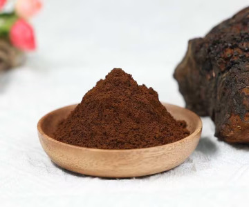 Organic Chaga powder (Chaga extract powder 1:1)