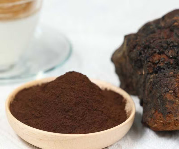 Organic Chaga extract 8:1