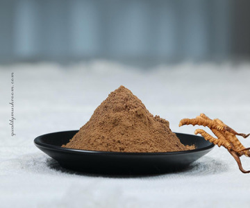 Cordyceps sinensis mycelium powder (Cordyceps sinensis mycelium extract powder 1:1)