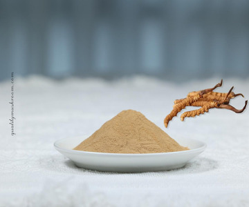 Organic Cordyceps sinensis mycelium extract 6:1