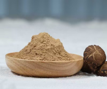 Organic Shiitake powder (Organic Shiitake extract powder 1:1)