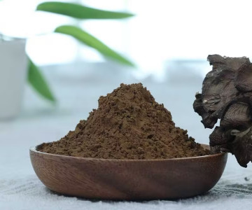 Organic Maitake extract 8:1