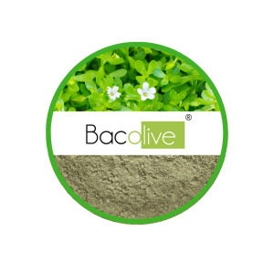 Bacolive- Bacopa monnieri extract