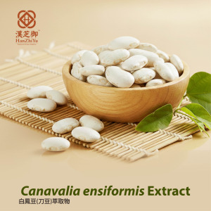 Jack bean seeds (Canavalia ensiformis and Canavalia gladiata)