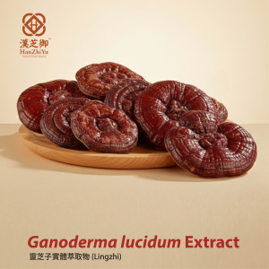 Ganoderma lucidum extract